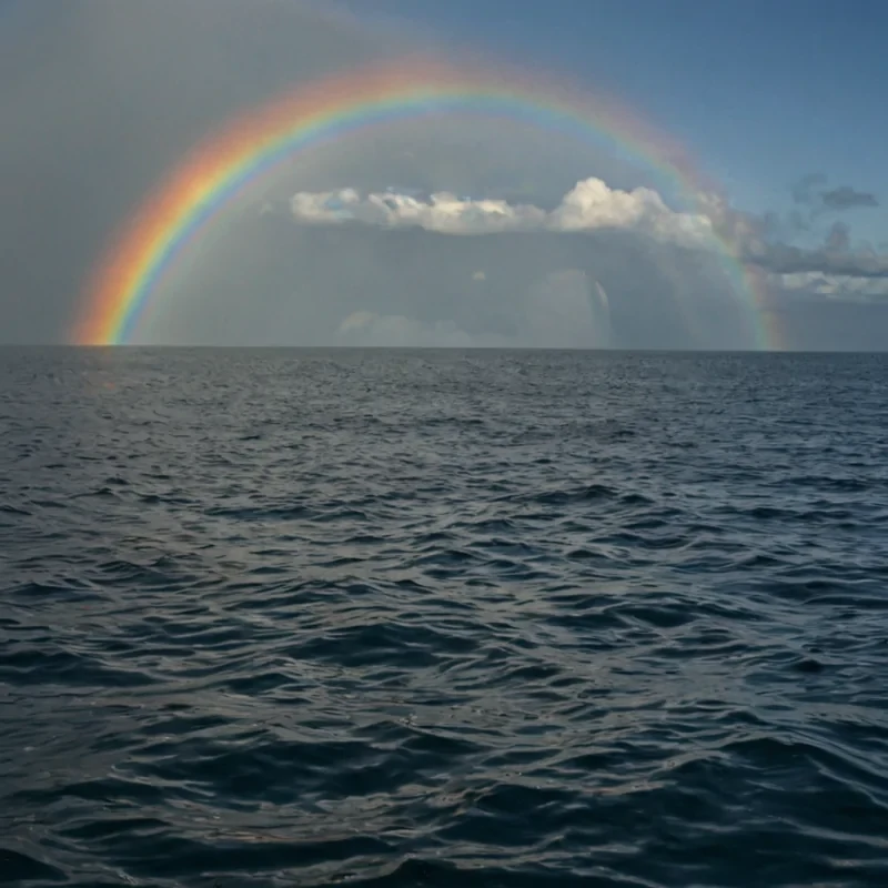 A single, selfsustaining archipelago of floating, inverted rainbows hovers in the center of a vast, still ocean made entirely of liquid memory, its islands not land but solidified moments of unspoken understanding, each one shaped like the silhouette of a hand reaching toward another that never touched. The rainbows do not arcthey spiral downward into the water like frozen tears of light, their colors not vibrant but muted, as if seen through the lens of a dream that lasted only a breath. The oceans surface is not reflectiveit absorbs sound, turning every whisper into a slow, expanding ripple that forms the shape of a sentence written in reverse time, its letters dissolving into mist before they can be read. The sky above is