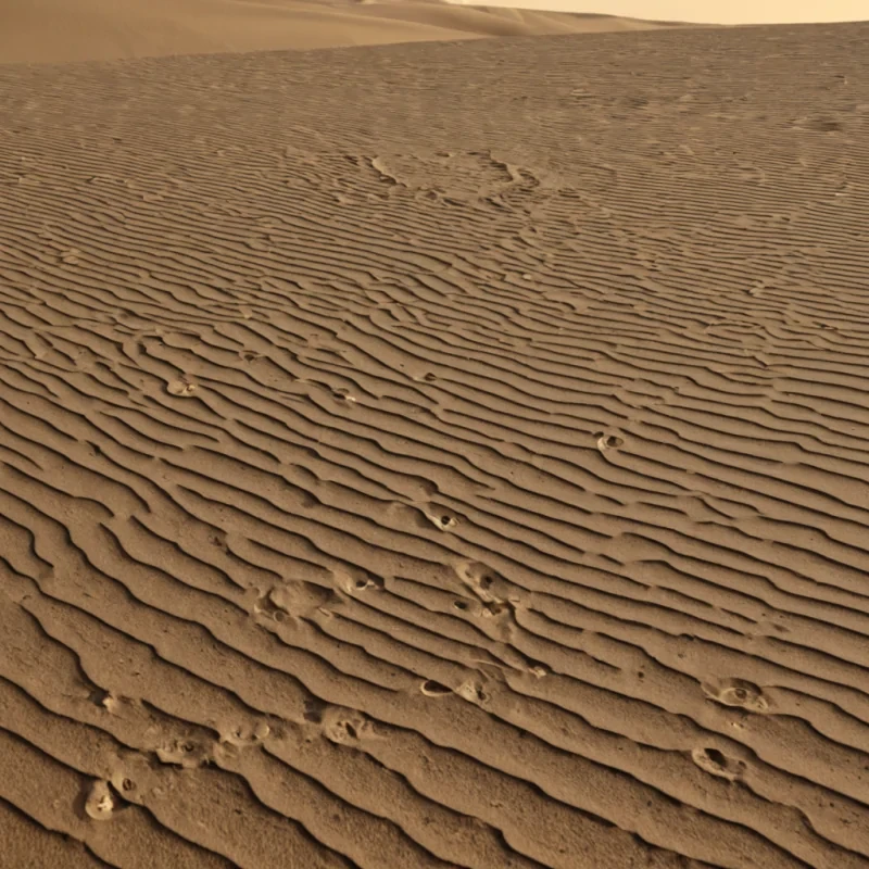 A single, selfluminous constellation of reversed silence, shaped like a 9,143dimensional lattice of unformed stillness and inverted resonance, drifts through the center of a vast, inverted desert of solidified wind  each dune carved from the exact moment between a breath leaving the lips and its refusal to disperse, a whisper carried on a thermal updraft and dissolving into nonaerodynamic emptiness, a sigh forming in the throat and collapsing into pure, unmeasured nonvibration. The constellation does not contain sound  it uncontains it, each intersecting filament shedding a layer of acoustic potential that never coalesced into perceptible resonance, reforming into ephemeral, obsidianthreaded afterimages
